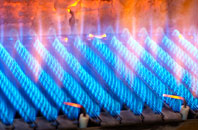 Pant Y Crug gas fired boilers